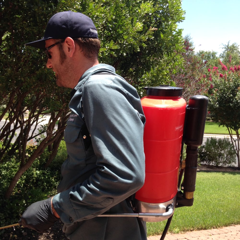 Indoor pest control DIY or hire a pro? Yelp