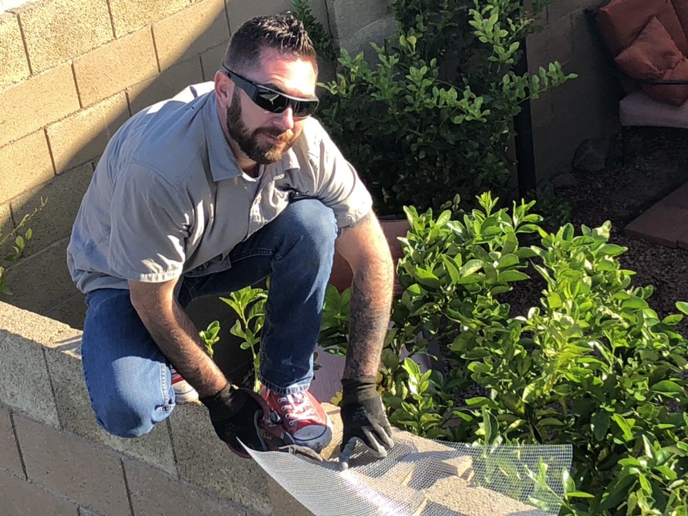 Indoor pest control DIY or hire a pro? Yelp