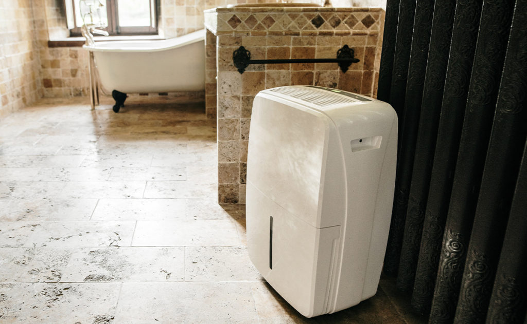 https://yelparticles.wpengine.com/wp-content/uploads/2021/09/dehumidify-in-bathroom-1024x631.jpg