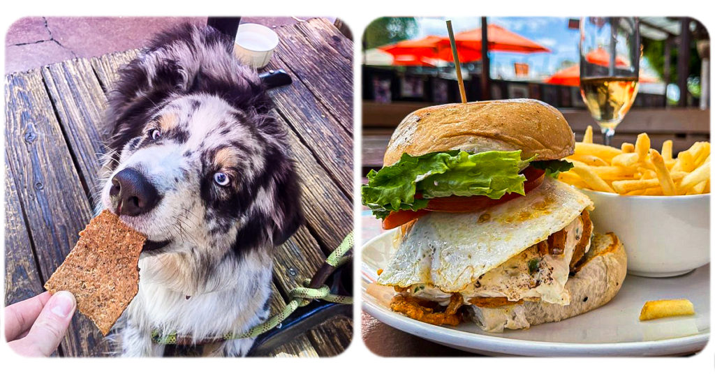 Top 100 Dog friendly Places to Eat Yelp