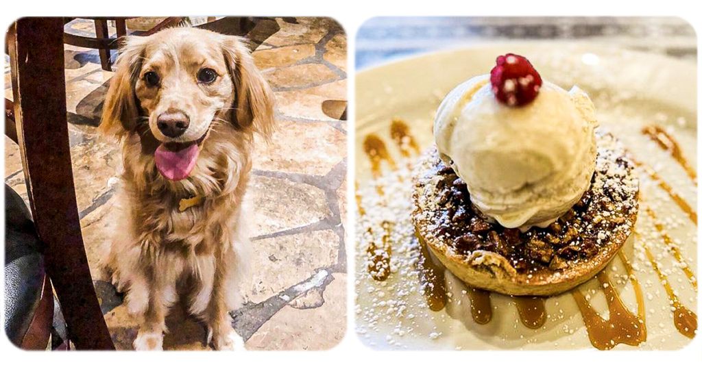 Top 100 Dogfriendly Places to Eat Yelp