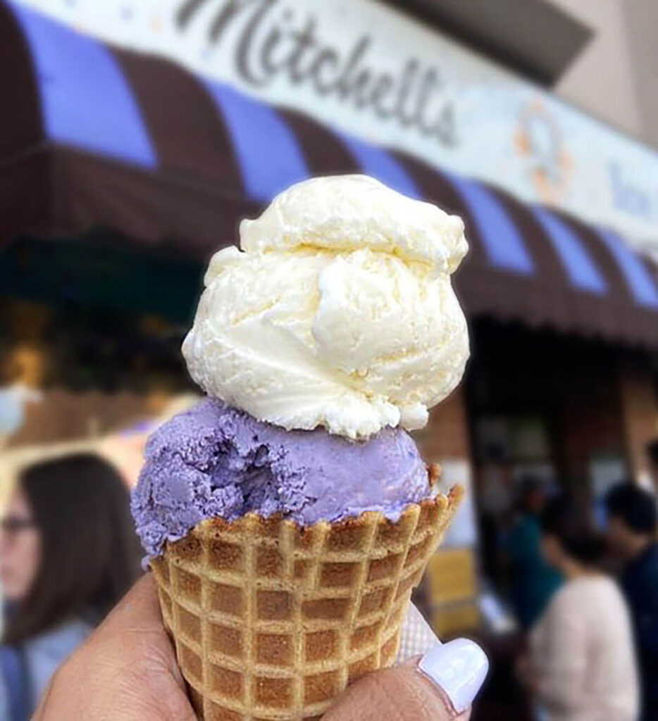 The Best Ice Cream Shops In The US, According To Tasting Table Staff