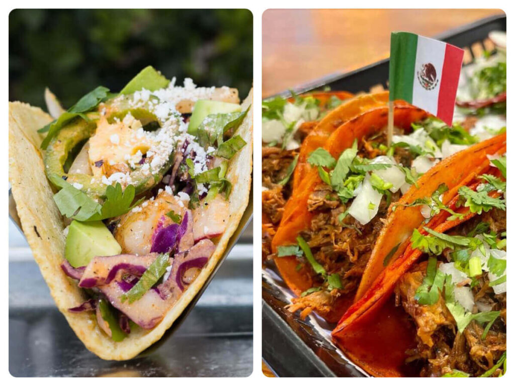 The 8 Best Taco Holders of 2023